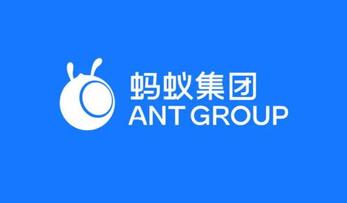 螞蟻集團(tuán)在渝成立數(shù)字天螞公司，注冊資本1億元加碼網(wǎng)絡(luò)技術(shù)服務(wù)